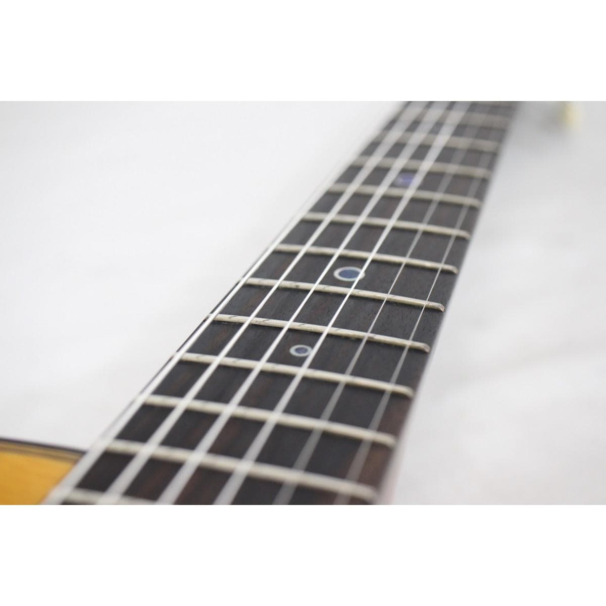GITANE DG-310