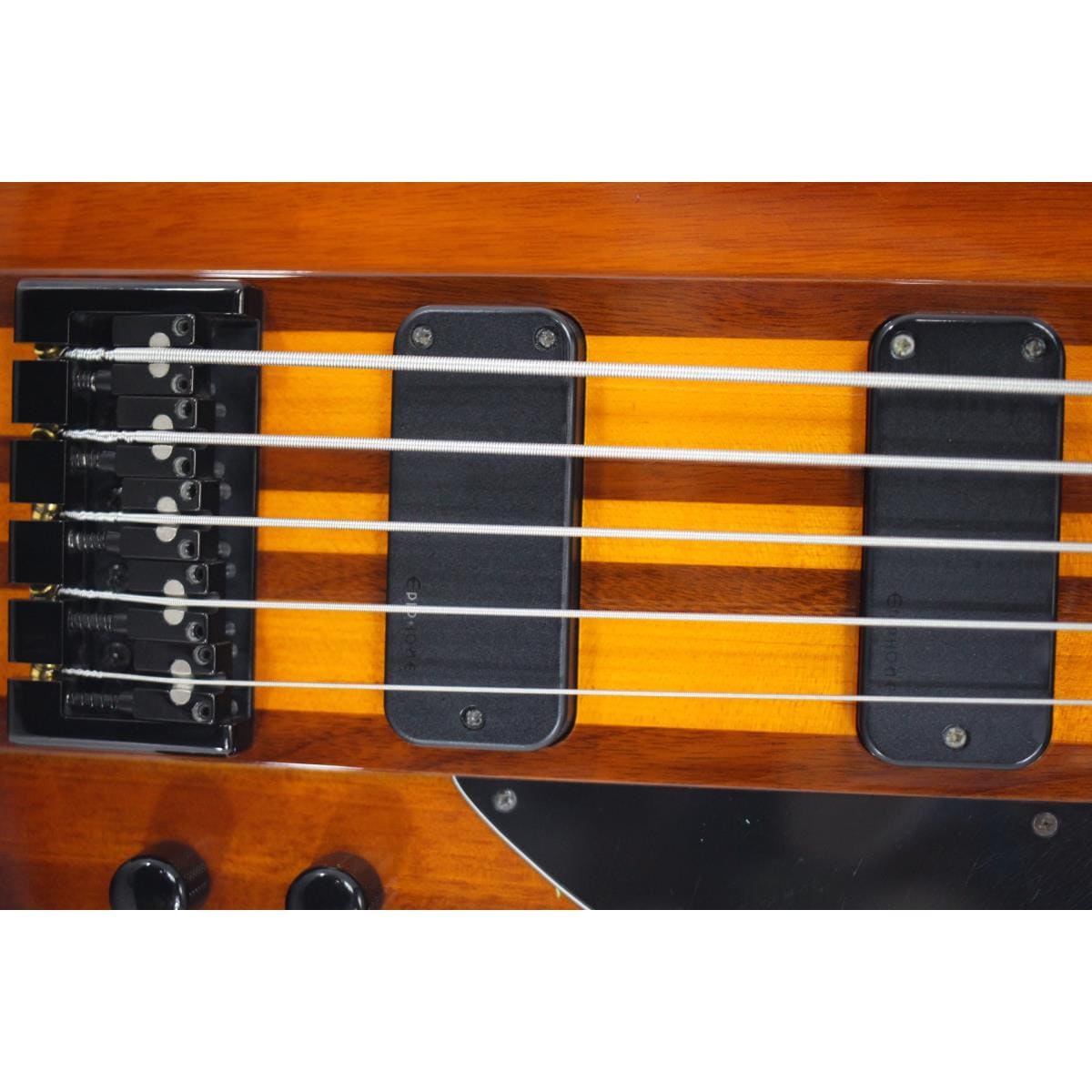 ＥＰＩＰＨＯＮＥ　ＴＨＵＮＤＥＲＢＩＲＤ　ＰＲＯ　Ｖ