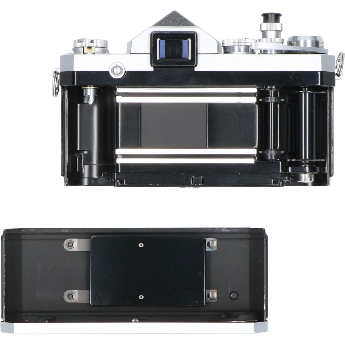 Ｆアイレベル　ＢＯＤＹ