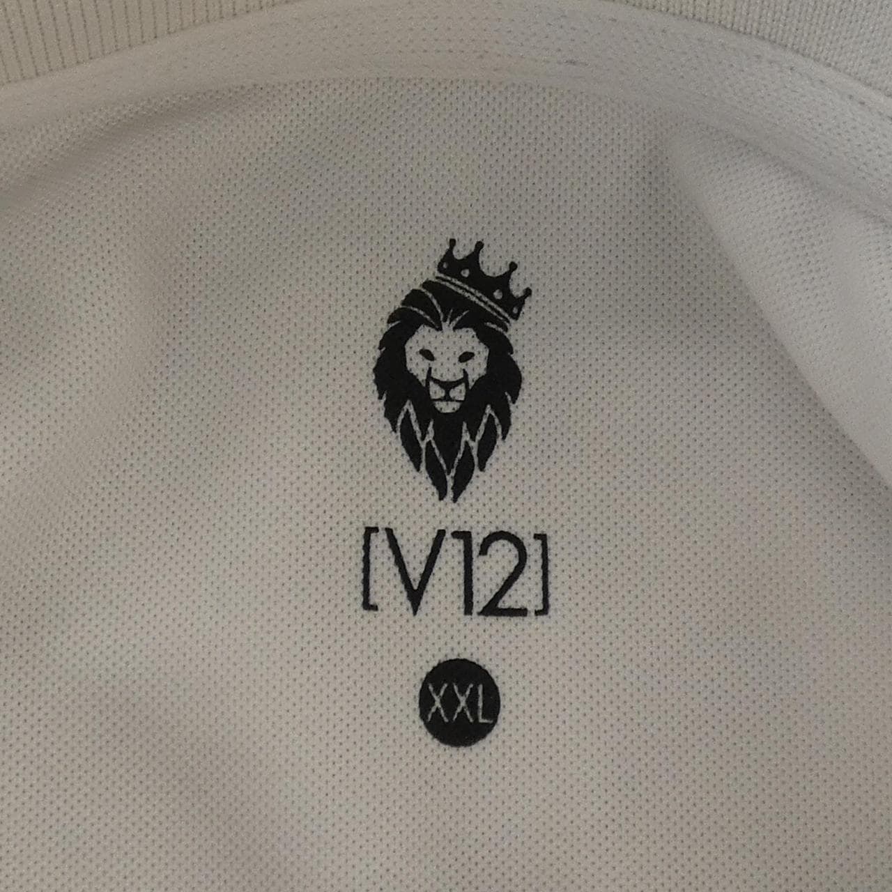 V TWELVE ポロシャツ