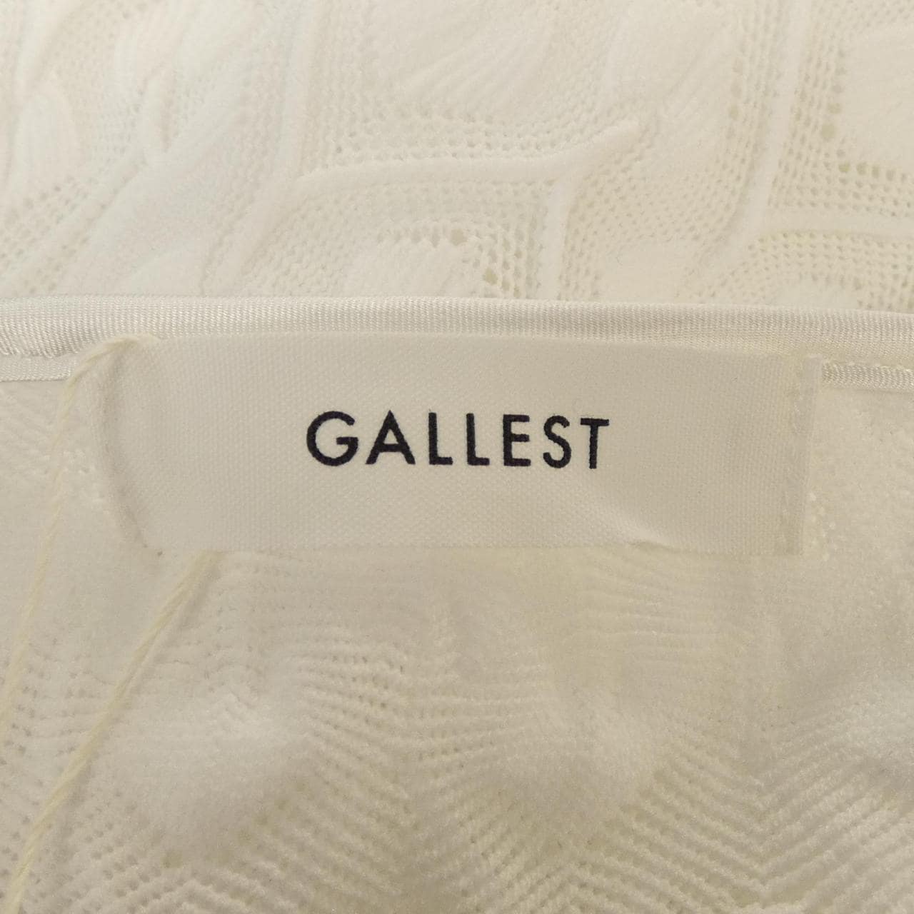 GALLEST セットアップ