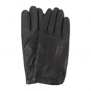 エンポリオアルマーニ EMPORIO ARMANI GLOVE