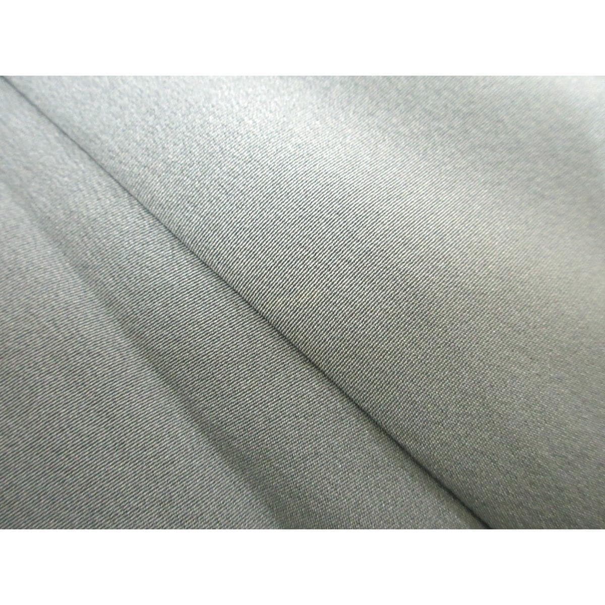 色留袖　訪問着兼用　友禅加工　身幅Ｌ寸