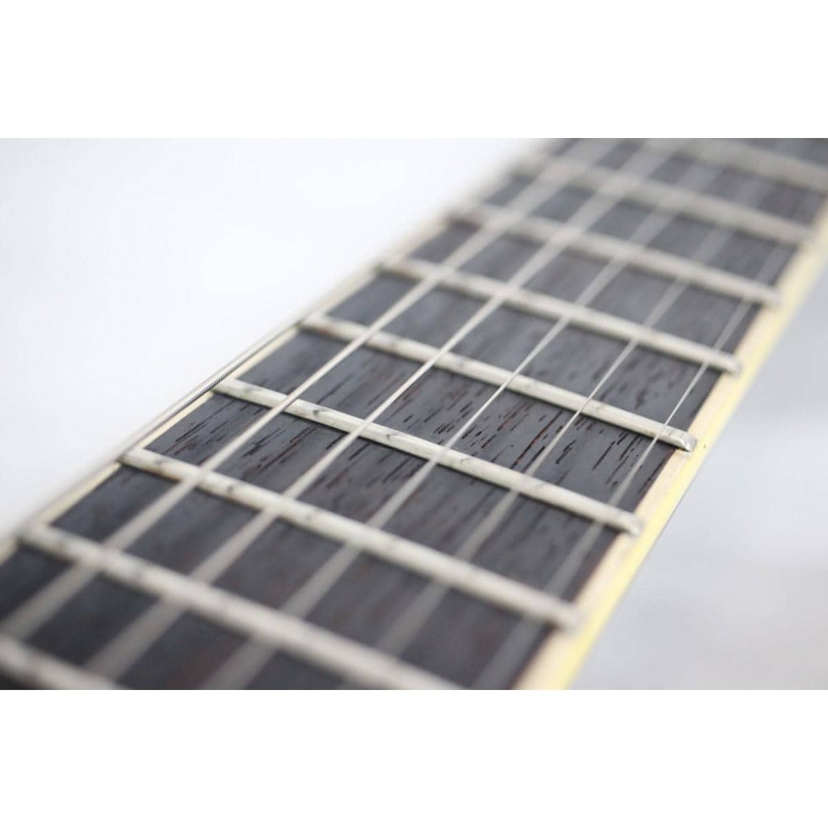 EDWARDS エクリプスE-CL-90I EDWARDS エクリプスE-CL-90I