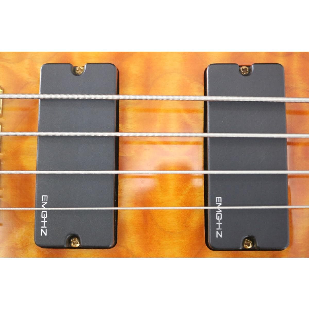 ＳＣＨＥＣＴＥＲ　　ＡＤ－ＳＬ－ＥＬ－４