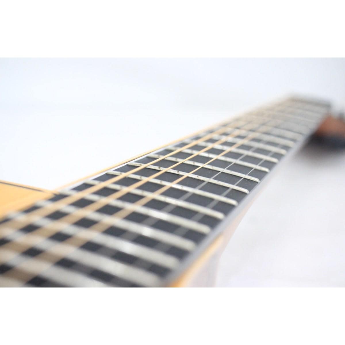 ＬＡＧ　ＧＵＩＴＡＲＳ　ＴＨＶ３０ＡＣＥ