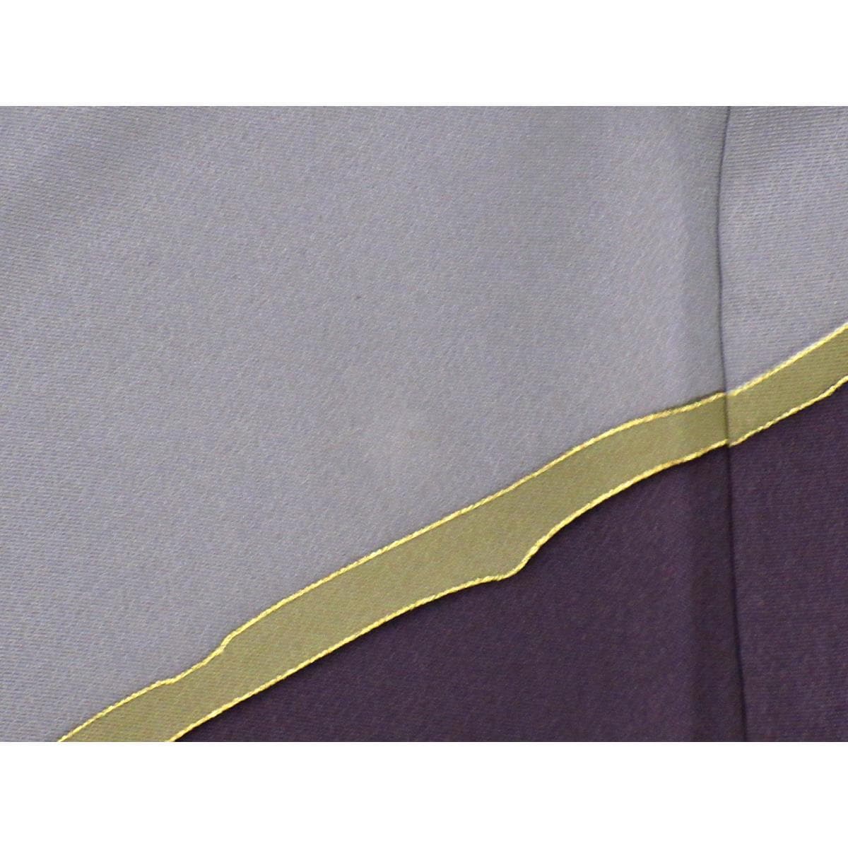 振袖　友禅金彩加工　きもの・長襦袢　２点セット