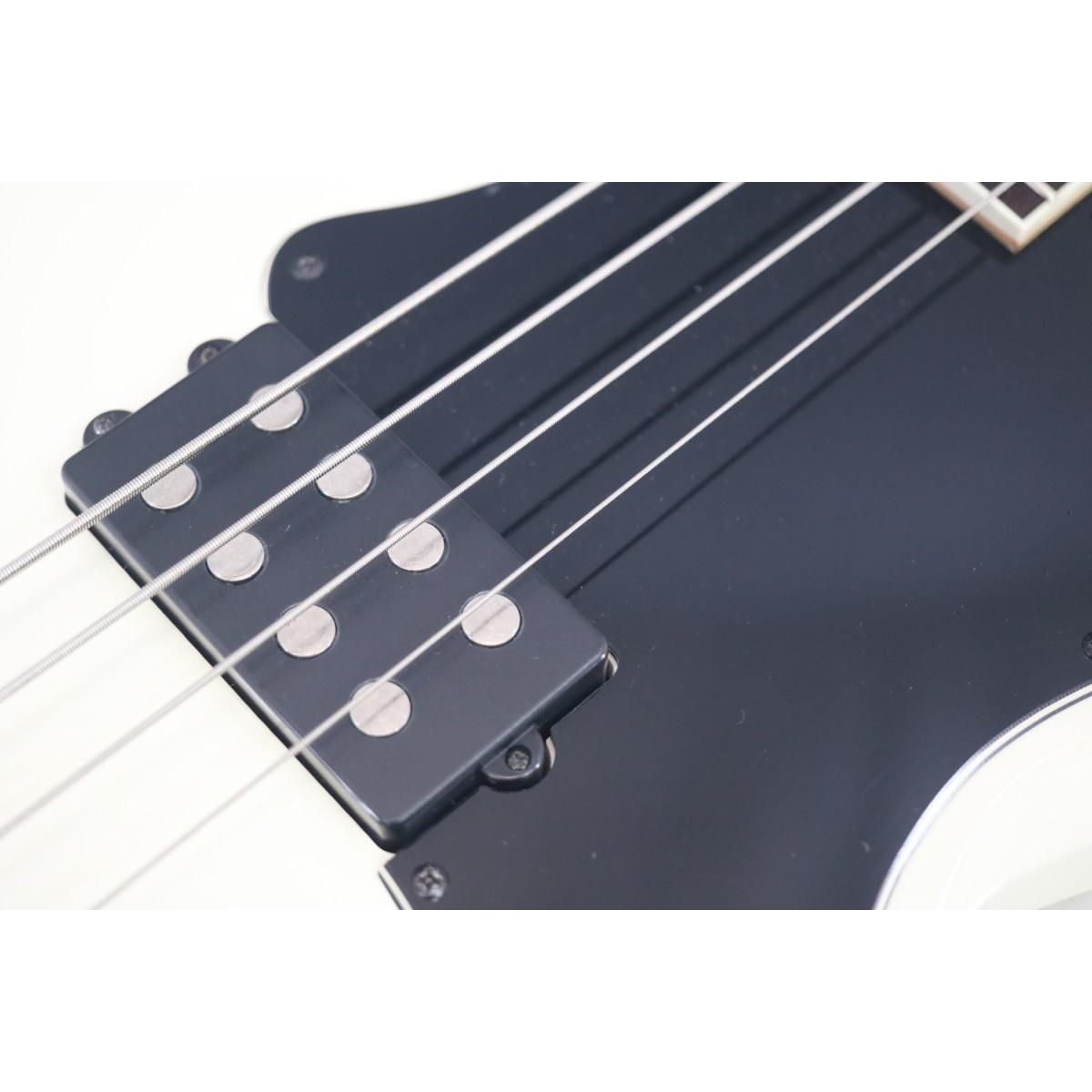 ＧＲＡＳＳＲＯＯＴＳ　Ｇ－ＶＰ－４６Ｂ
