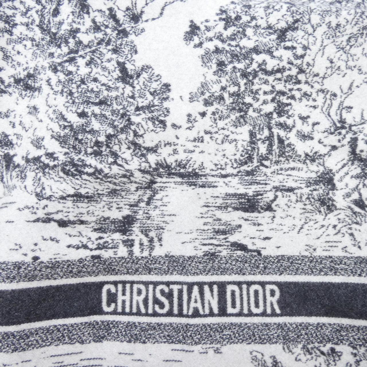 クリスチャンディオール CHRISTIAN DIOR 51NOE350ISPE ブランケット