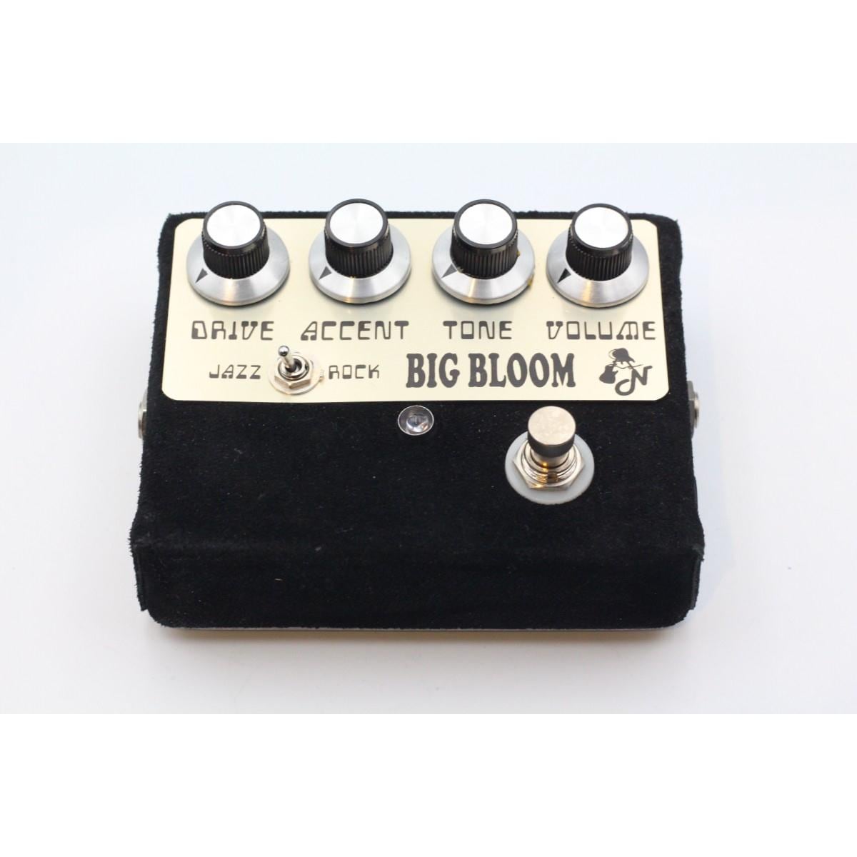 Ａｍｐｌｉｆｉｅｄ　Ｎａｔｉｏｎ　ＢＩＧ　ＢＬＯＯＭ