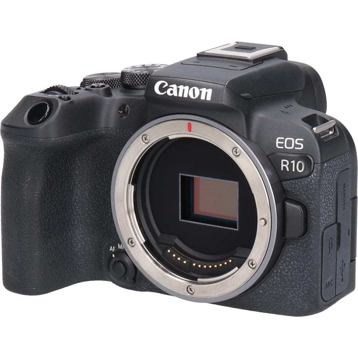 ＥＯＳ　Ｒ１０