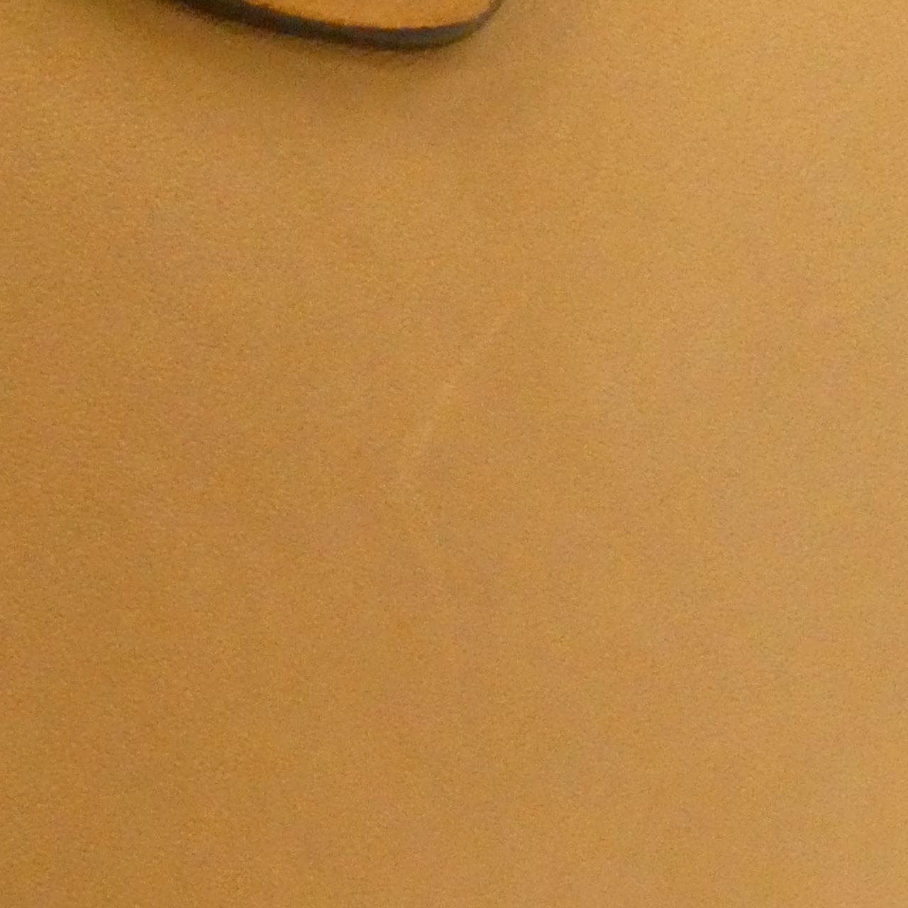 セリーヌ ラゲージ ナノ ショッパー 168243AO3 バッグ