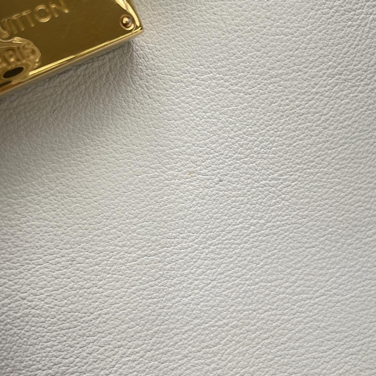 ルイヴィトン エキゾチックレザー LVアーク N97351 バッグ