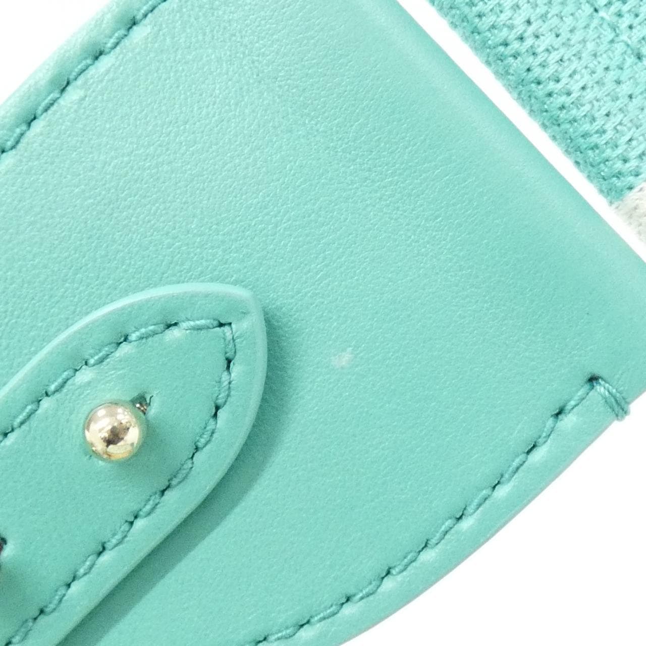 クリスチャンディオール DIORIVIERA レディ ディオール M0505OIFI バッグ