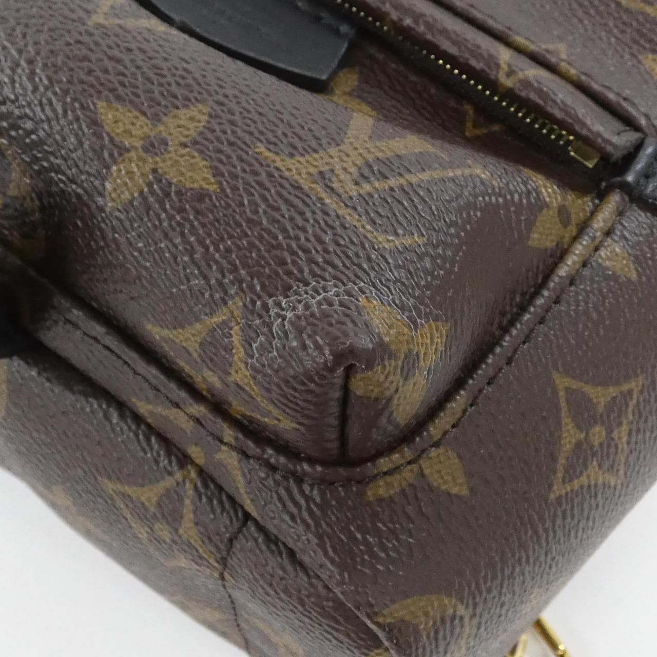 LOUIS VUITTON Monogram Palm Springs Backpack MINI M41562 Rucksack