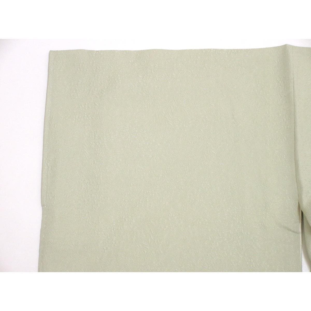 【未使用品】色無地　毎田仁郎　三ツ柏