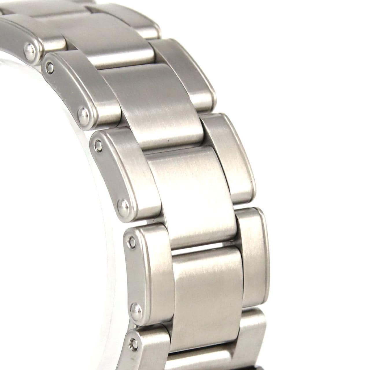 チューダー/チュードル ブラックベイプロ M79470-0004 SS 自動巻