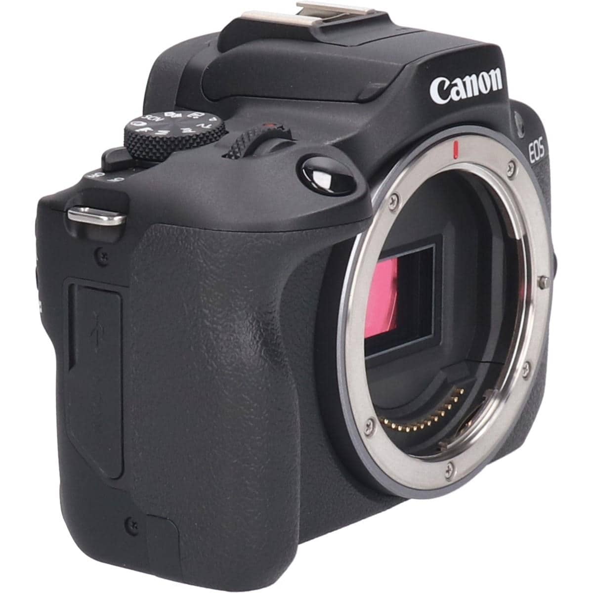 ＥＯＳ　Ｒ１００