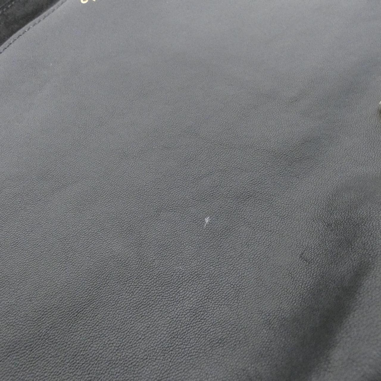 CELINE半月形软肩包 124142T88