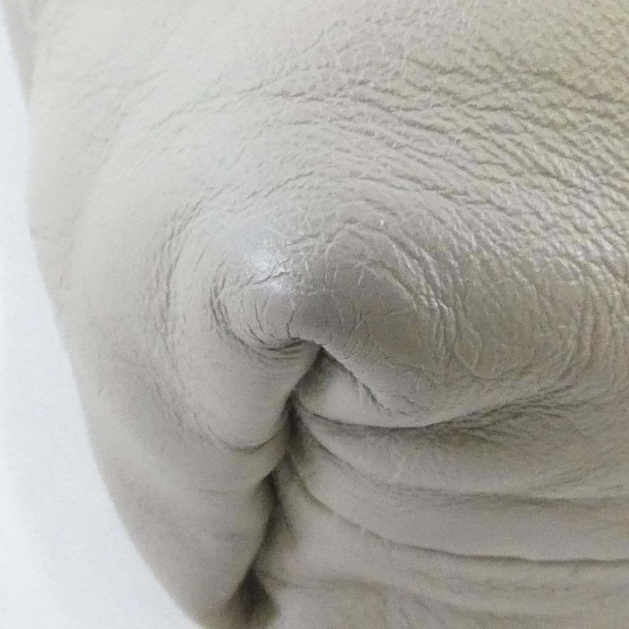 ボッテガヴェネタ 273312 VN031 バッグ