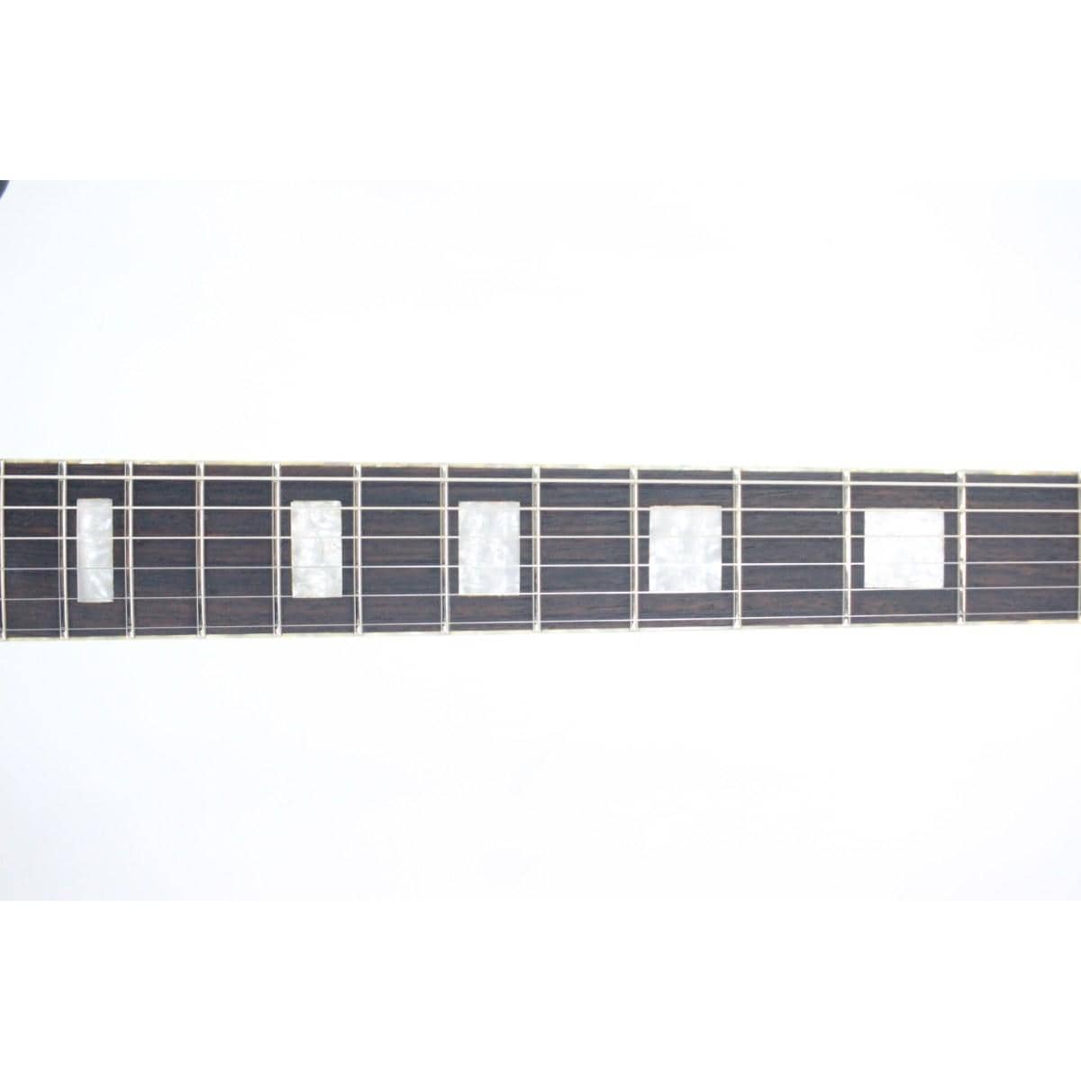 ＢＡＣＣＨＵＳ　　ＷＩＮＤＹ