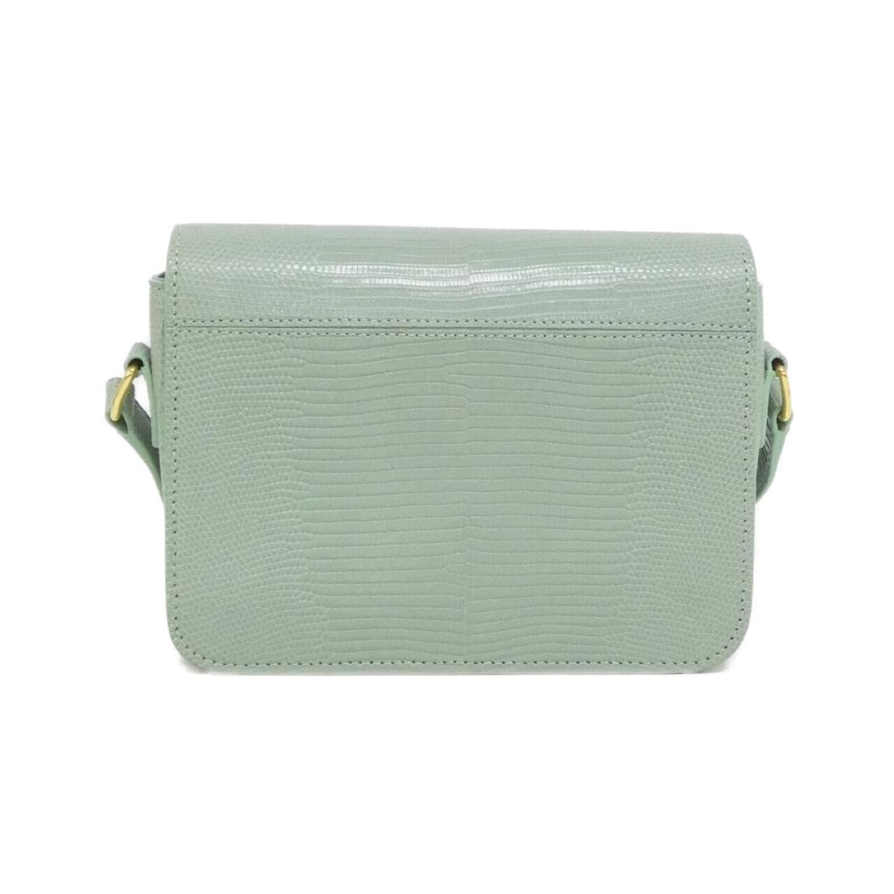 CELINE Teen Triomphe 188424BFJ 单肩包