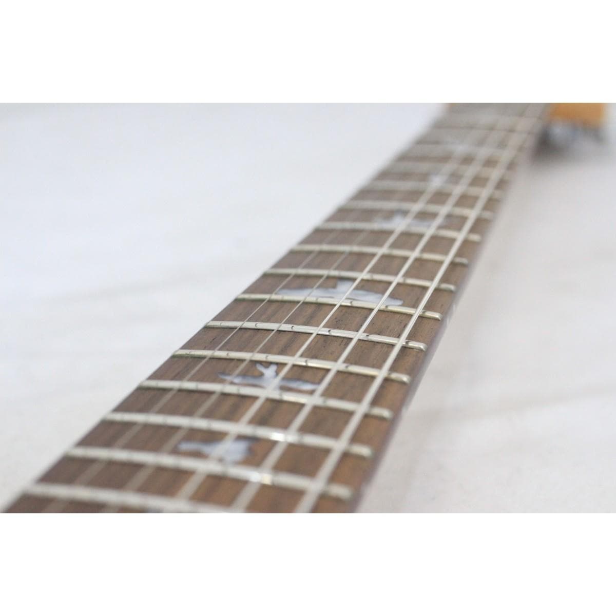 ＰＡＵＬ　ＲＥＥＤ　ＳＭＩＴＨ　　ＳＥ　ＣＵＳＴＯＭ　２４／ＬＨ