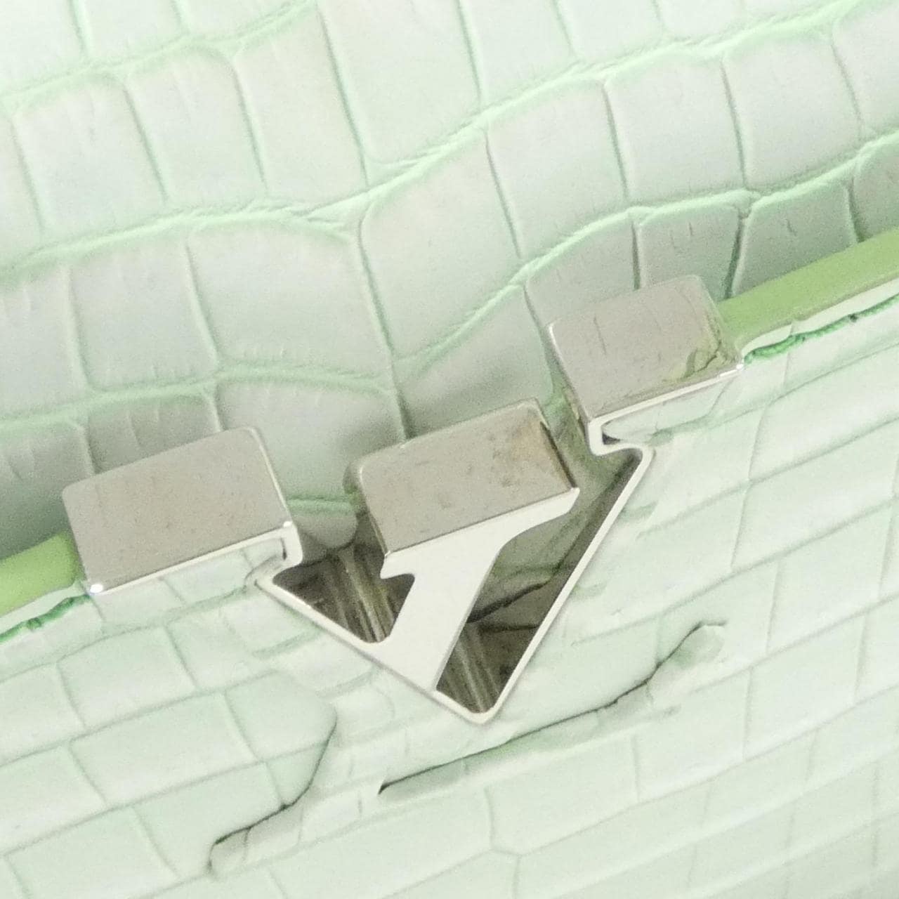 ルイヴィトン エキゾチックレザー カプシーヌ MINI バッグ