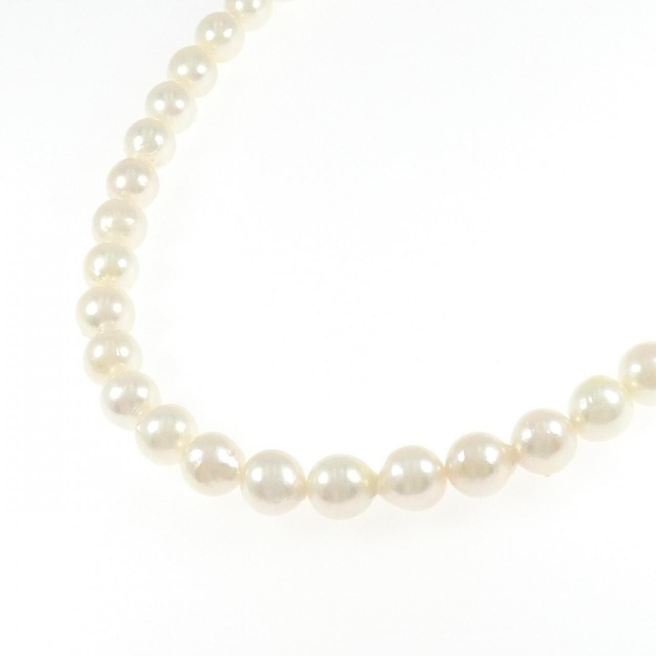 シルバークラスプ アコヤパール ネックレス 8-8.5mm