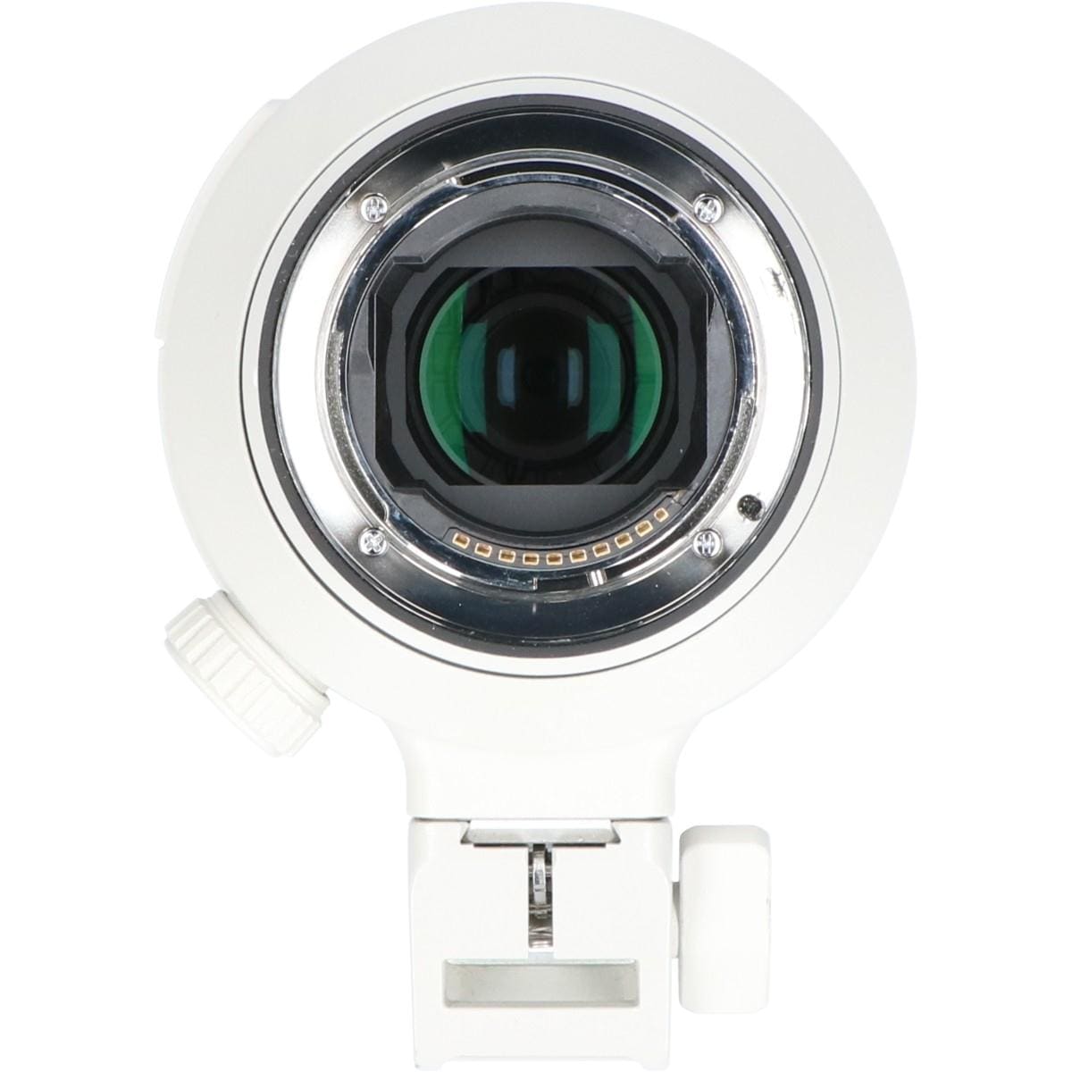 FE100-400mm F4.5-5.6GM OSS