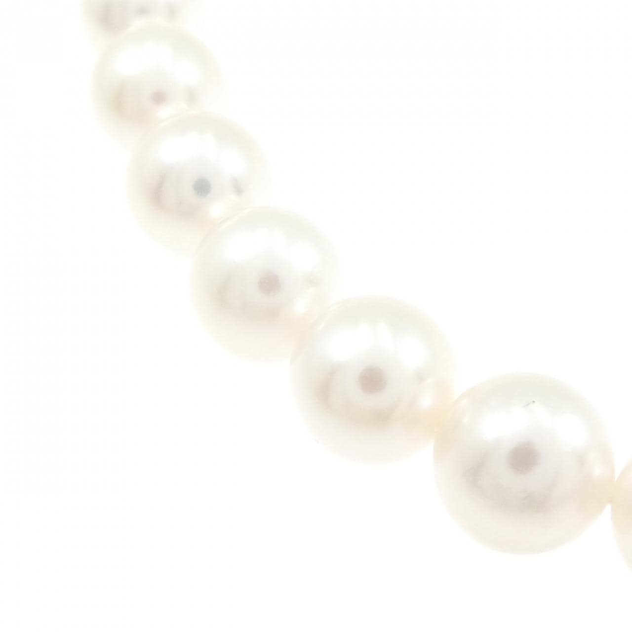 シルバークラスプ アコヤパール ネックレス 8-8.5mm