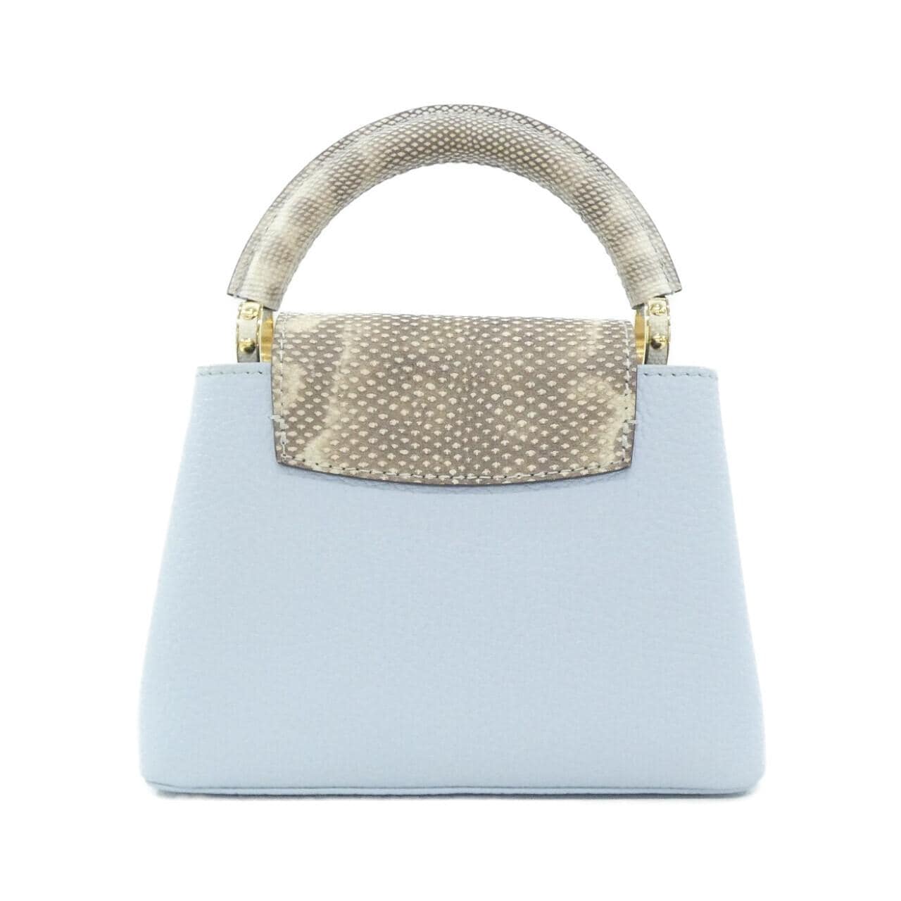 LOUIS VUITTON异域皮革 Capucines 迷你包 M22876