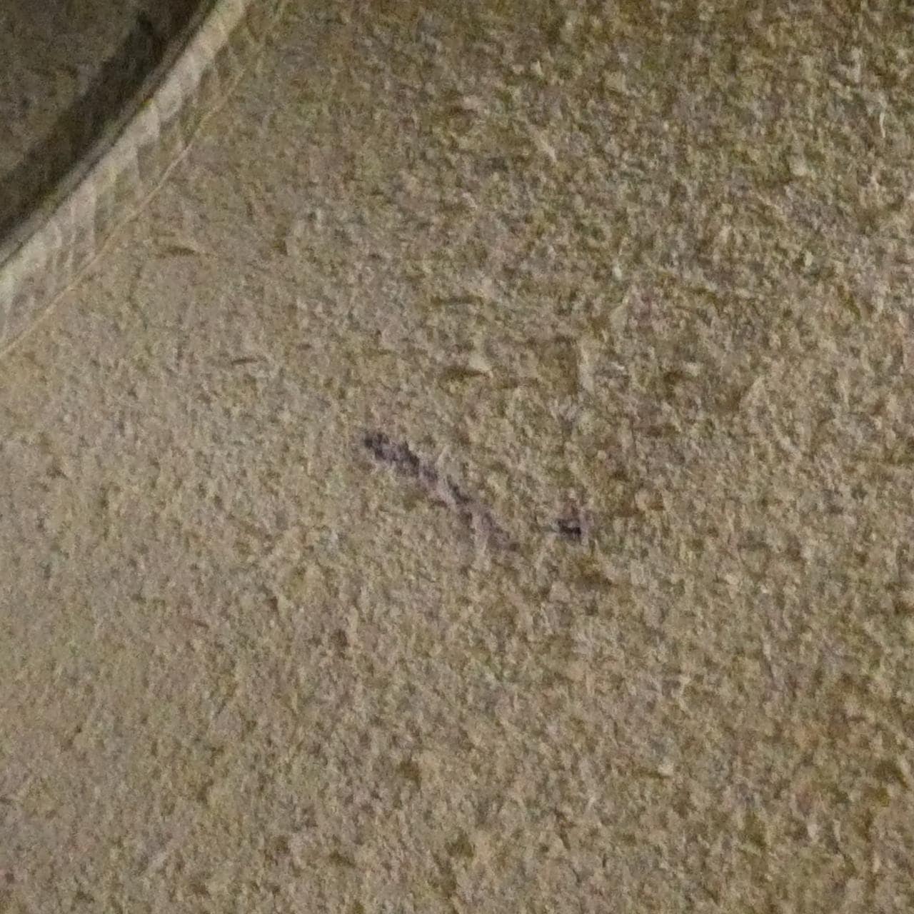 セリーヌ スモール バーティカル バイ カバス 176163XBB バッグ