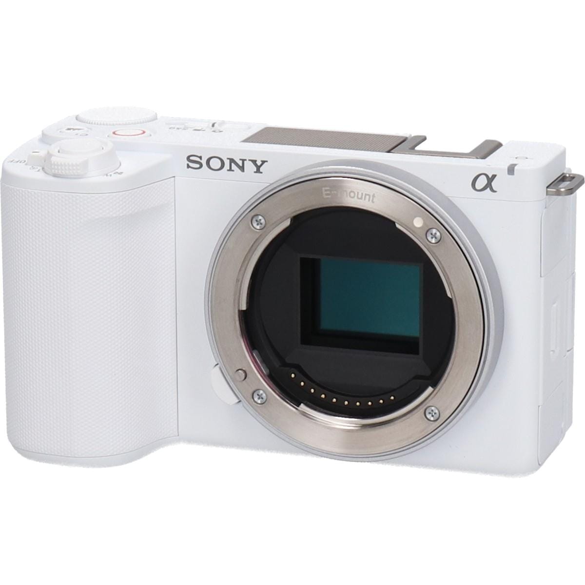 ＶＬＯＧＣＡＭ　ＺＶ－Ｅ１０ＩＩ