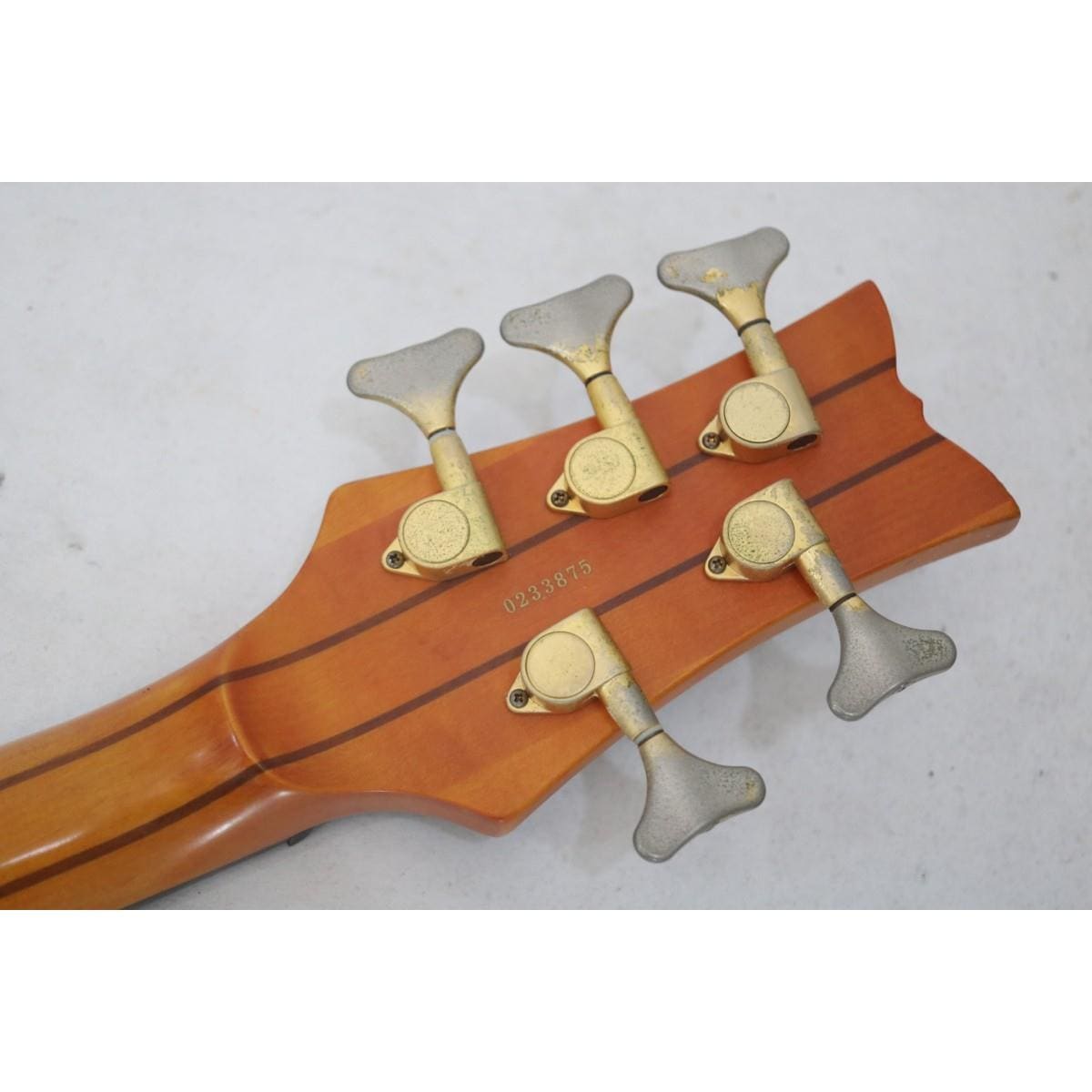 ＳＣＨＥＣＴＥＲ　　ＳＴＩＬＥＴＴＯ　ＳＴＵＤＩＯ　５／ＬＨ