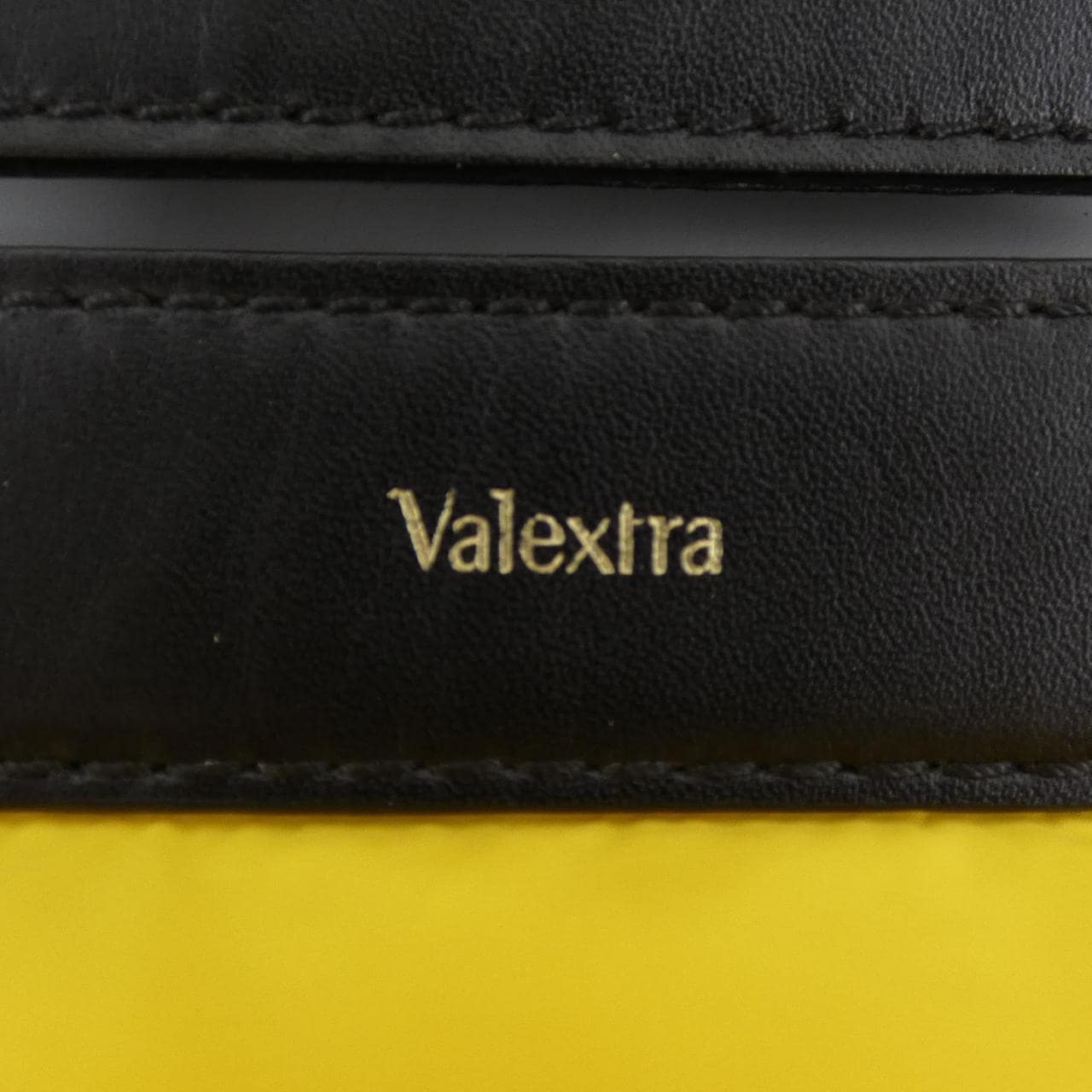 ヴァレクストラ VALEXTRA ダウンカバー SGES056517VRLAO99 BAG COVER