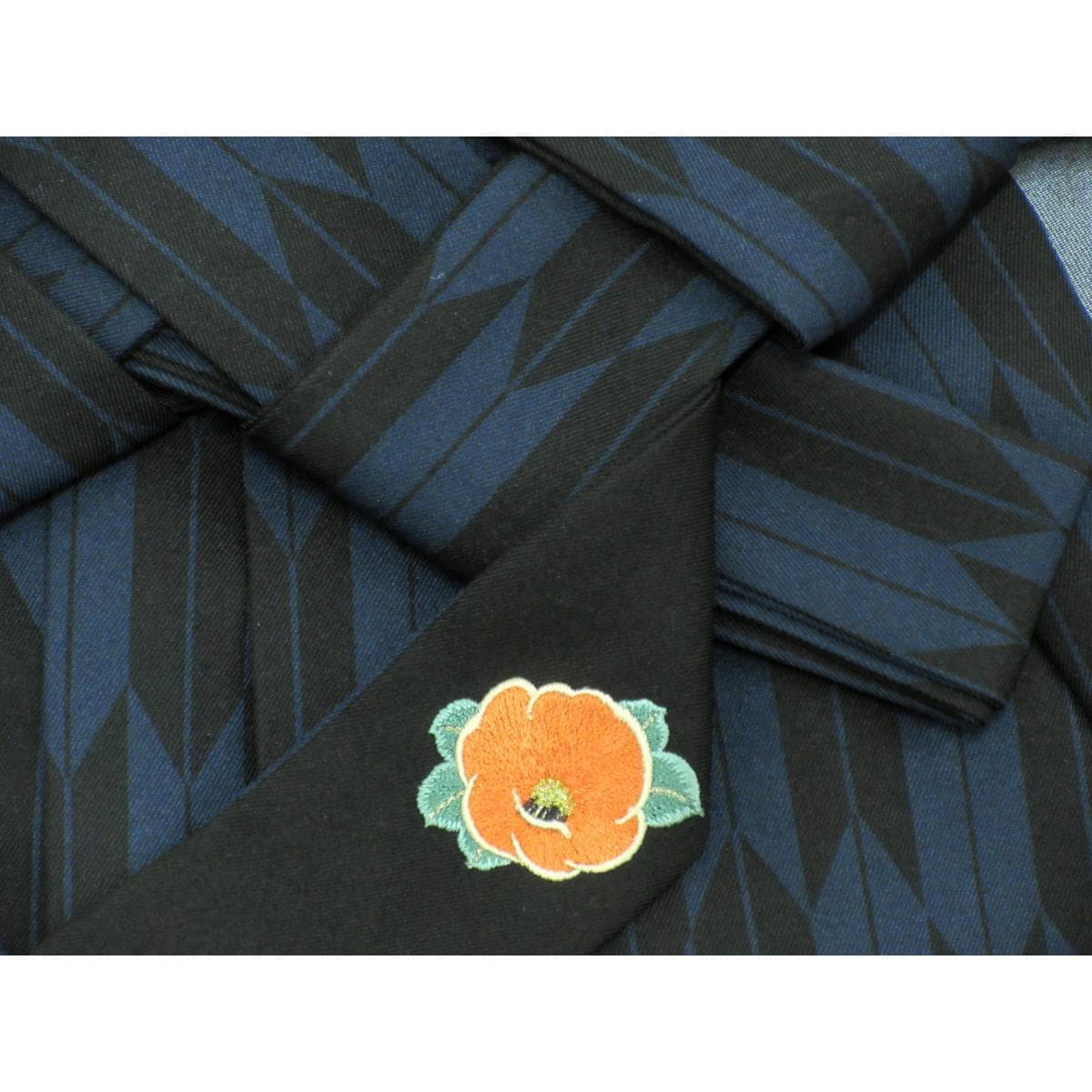 女袴　ｅａｒｔｈ　紐下９５ｃｍ　Ｌサイズ