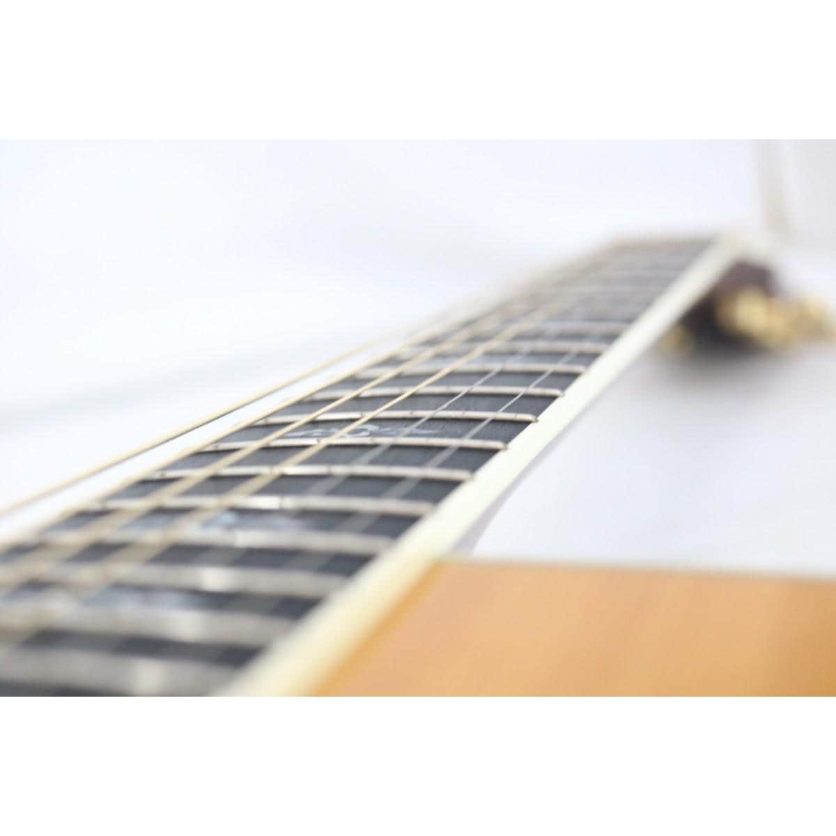 ＴＡＹＬＯＲ　　ＣＵＳＴＯＭ　ＤＮ
