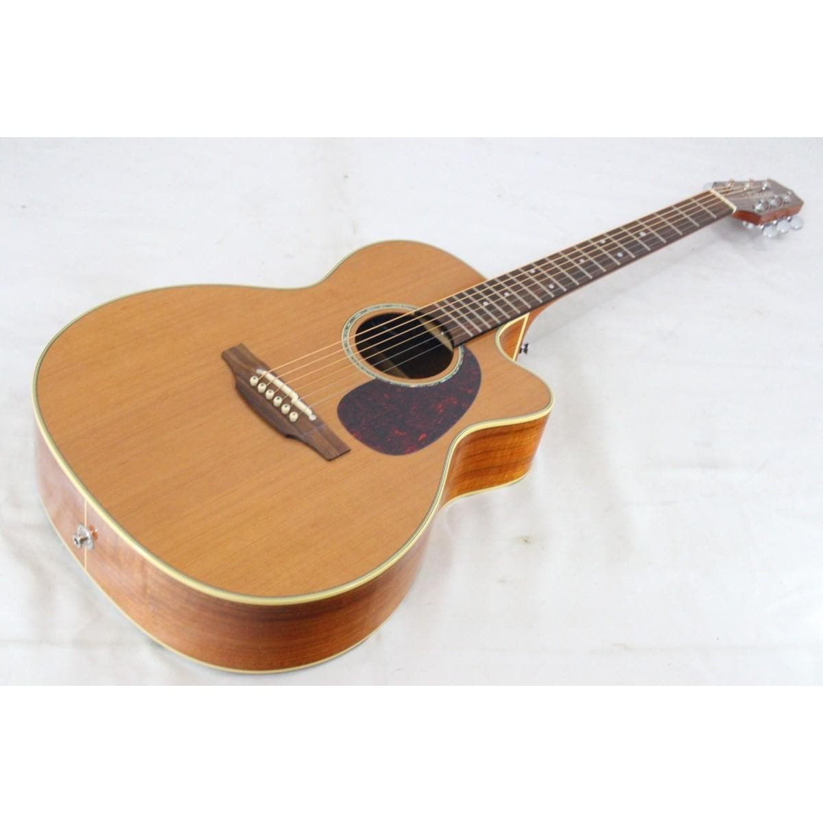 ＴＡＫＡＭＩＮＥ　　ＰＴＵ７３１ＫＣ