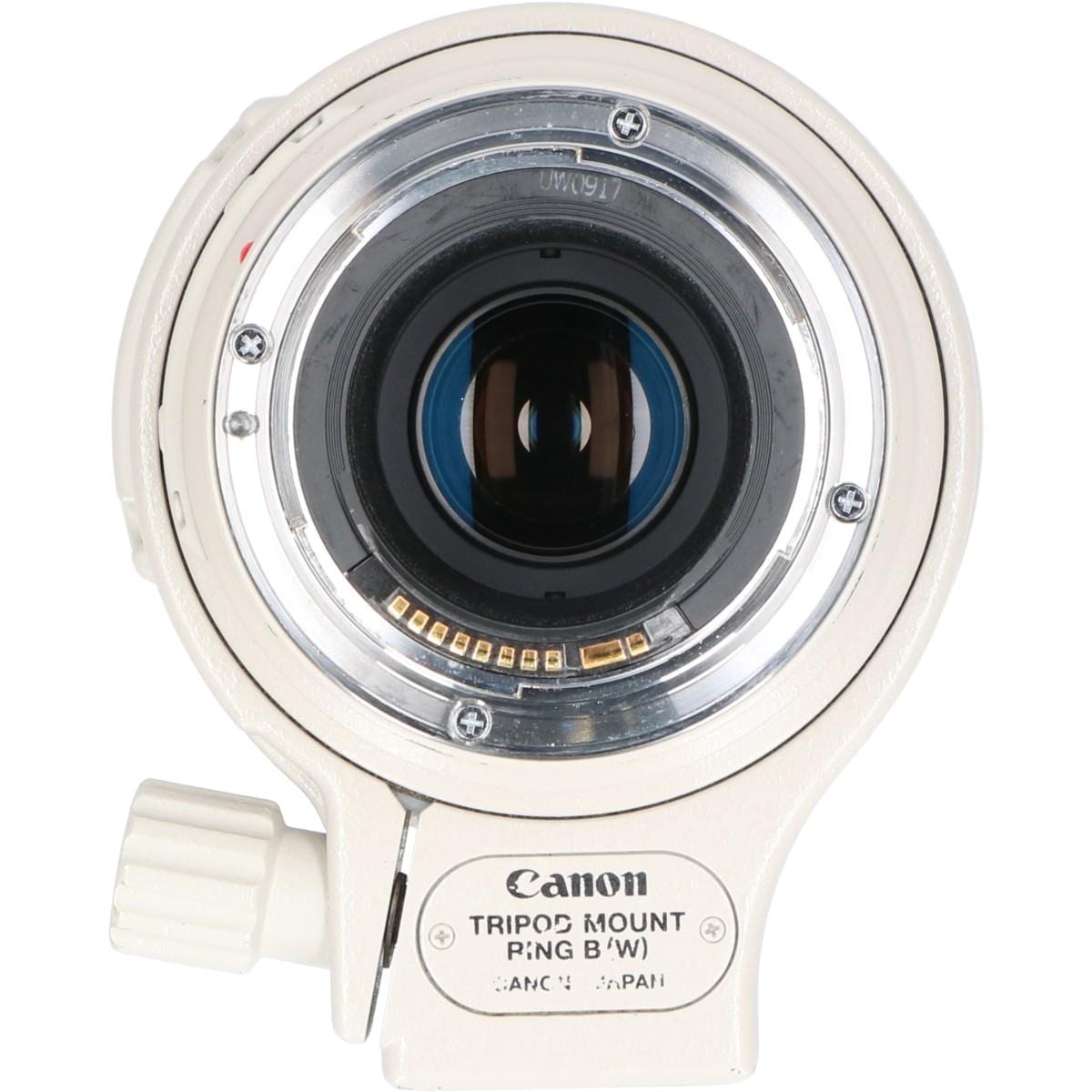 EF100-400mm F4.5-5.6L IS USM