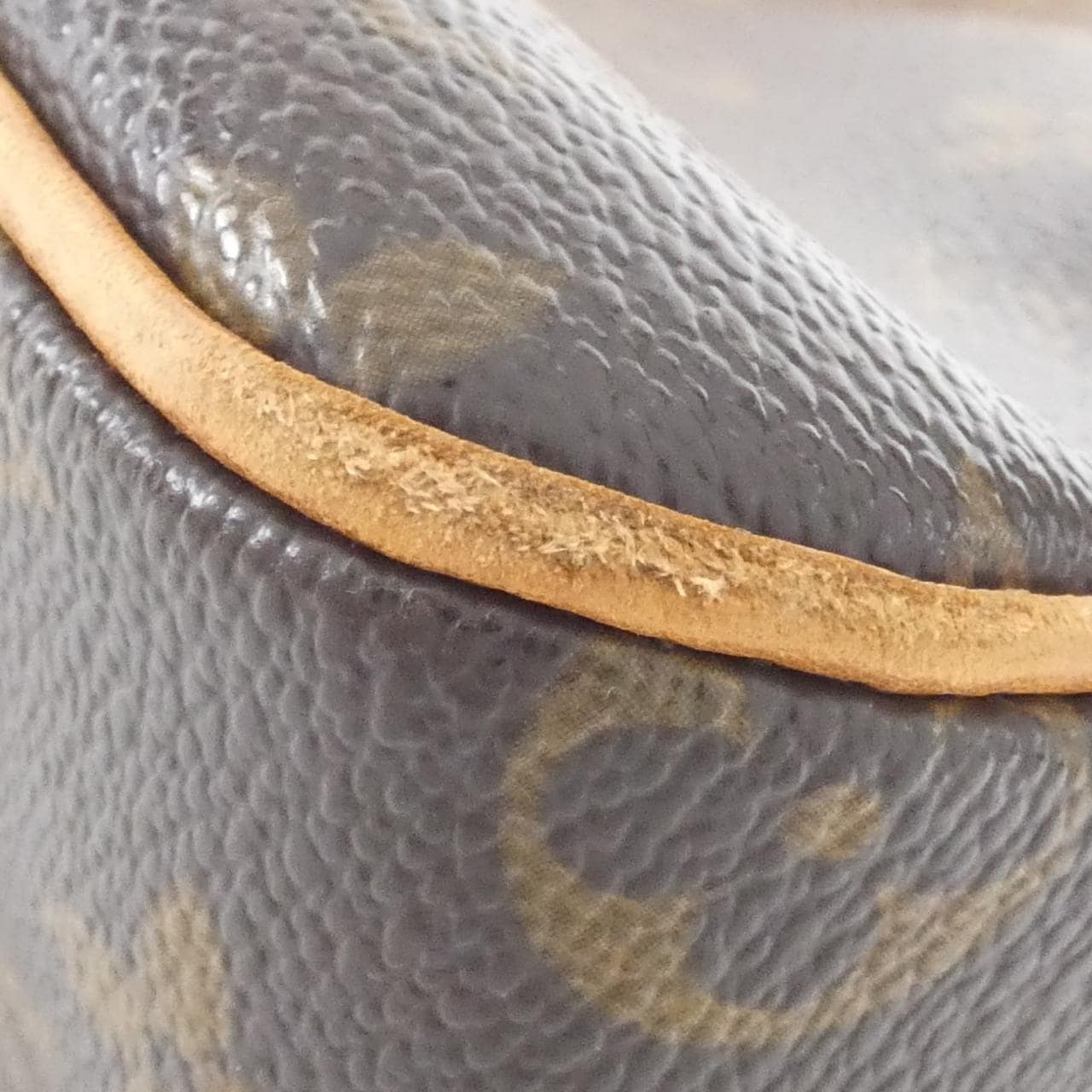 LOUIS VUITTON Monogram Viva Cité MM M51164 肩包