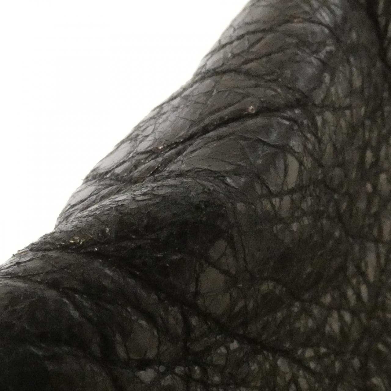 バレンシアガ エクスプローラー ベルト パック 529550 DB5J5 ウエストバッグ