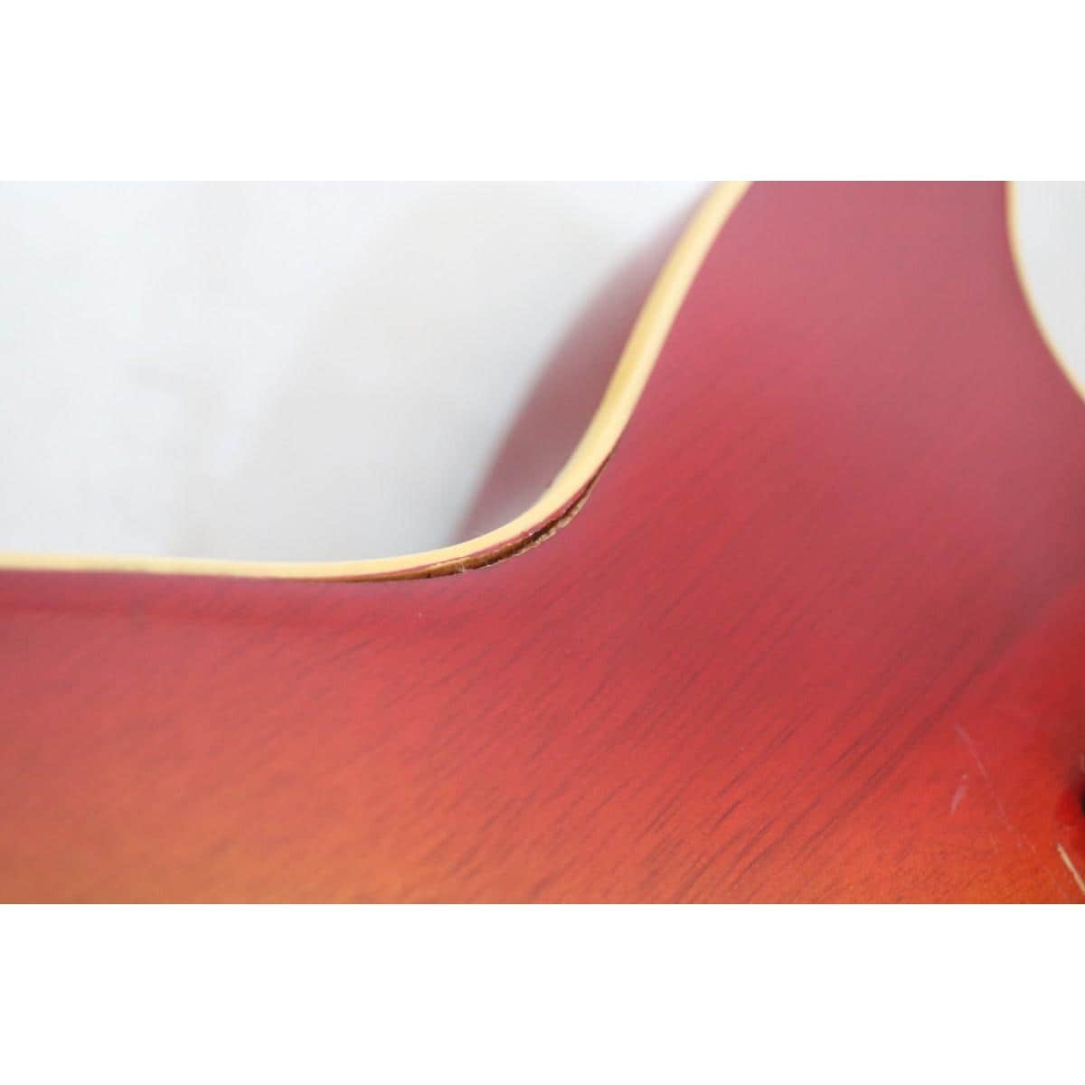 ＥＰＩＰＨＯＮＥ　　ＧＥＮＥＳＩＳ　ＳＴＡＮＤＡＲＤ