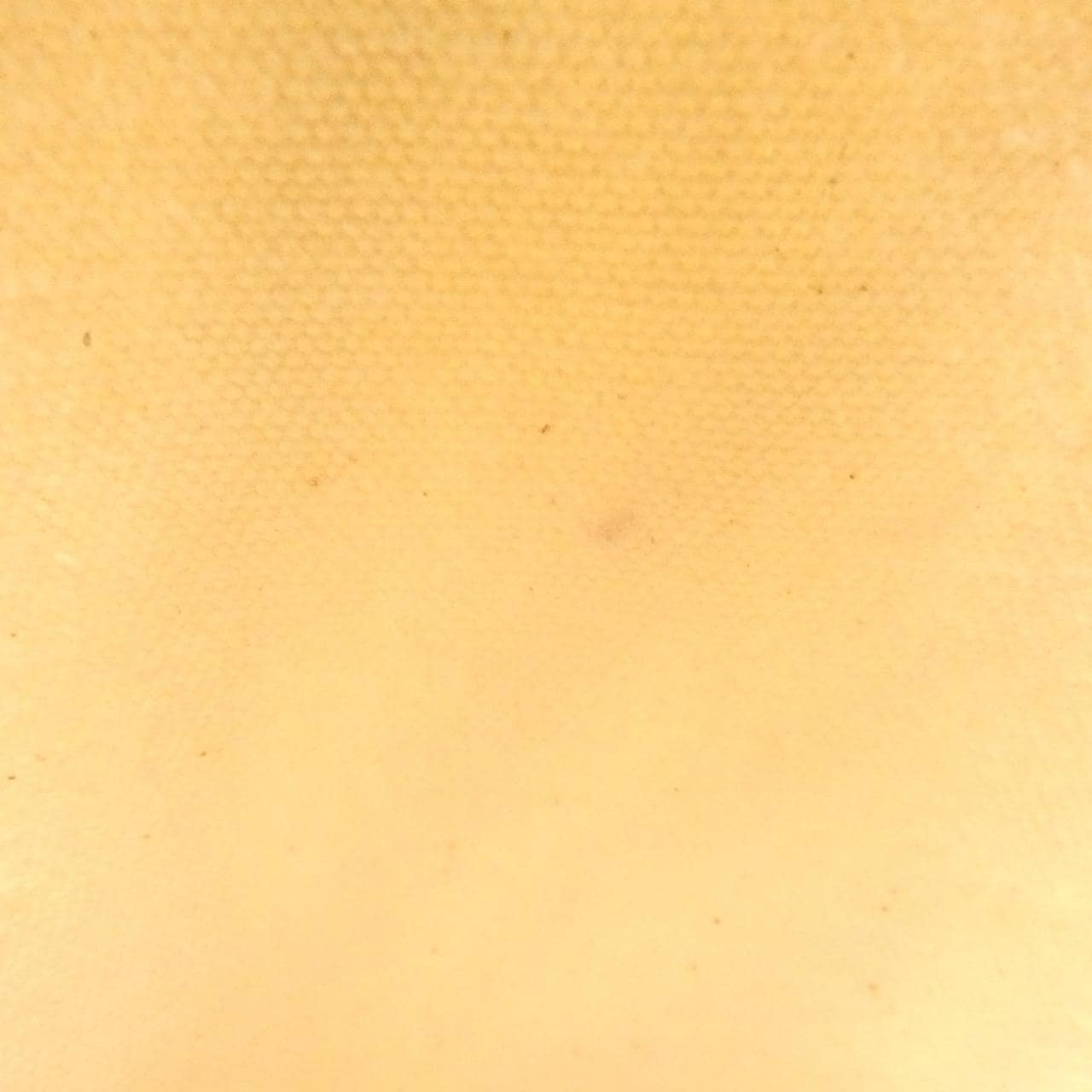エルメス SAC PLAGE CABAS FEUILLAGE PM 102255M バッグ