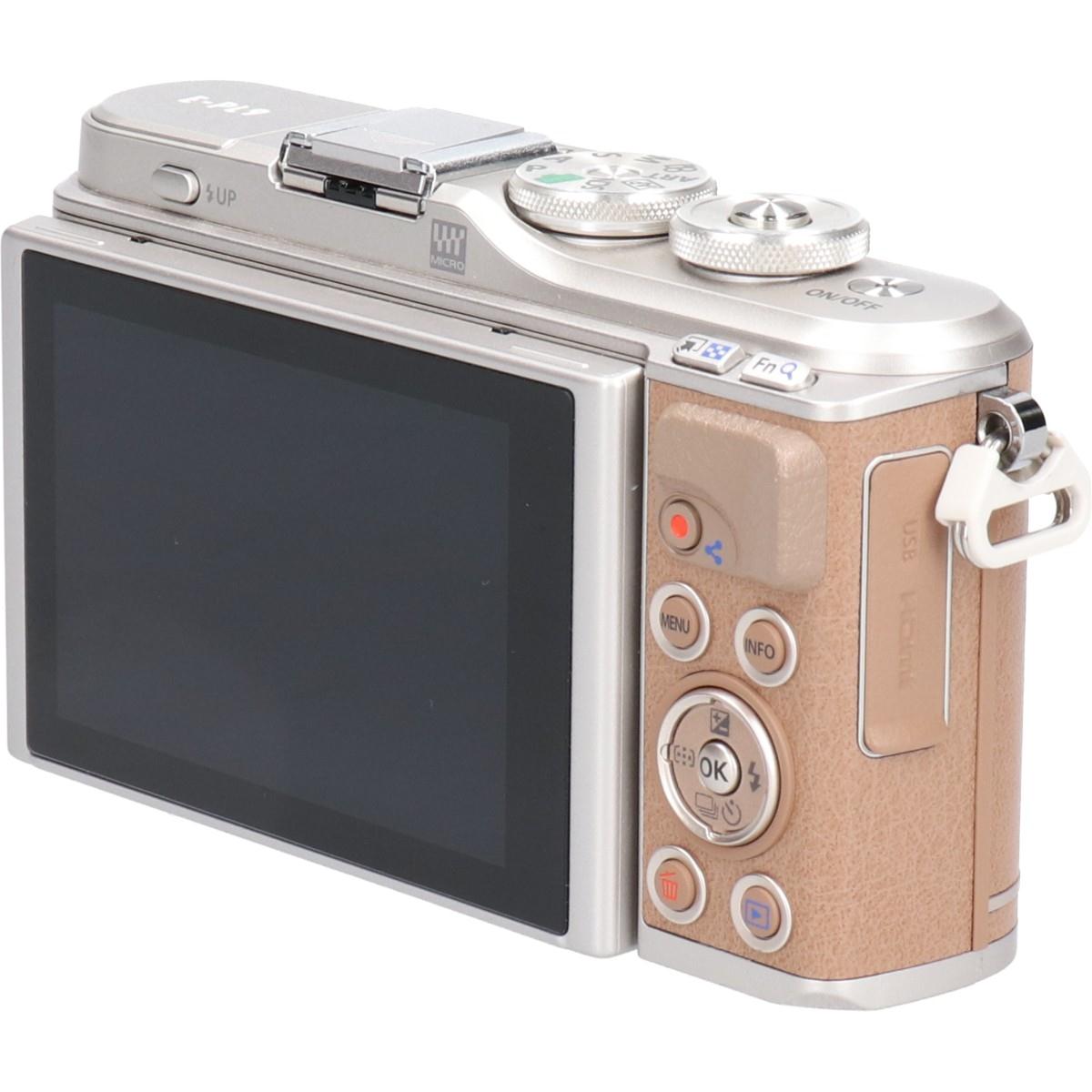 Ｅ－ＰＬ９　ブラウン