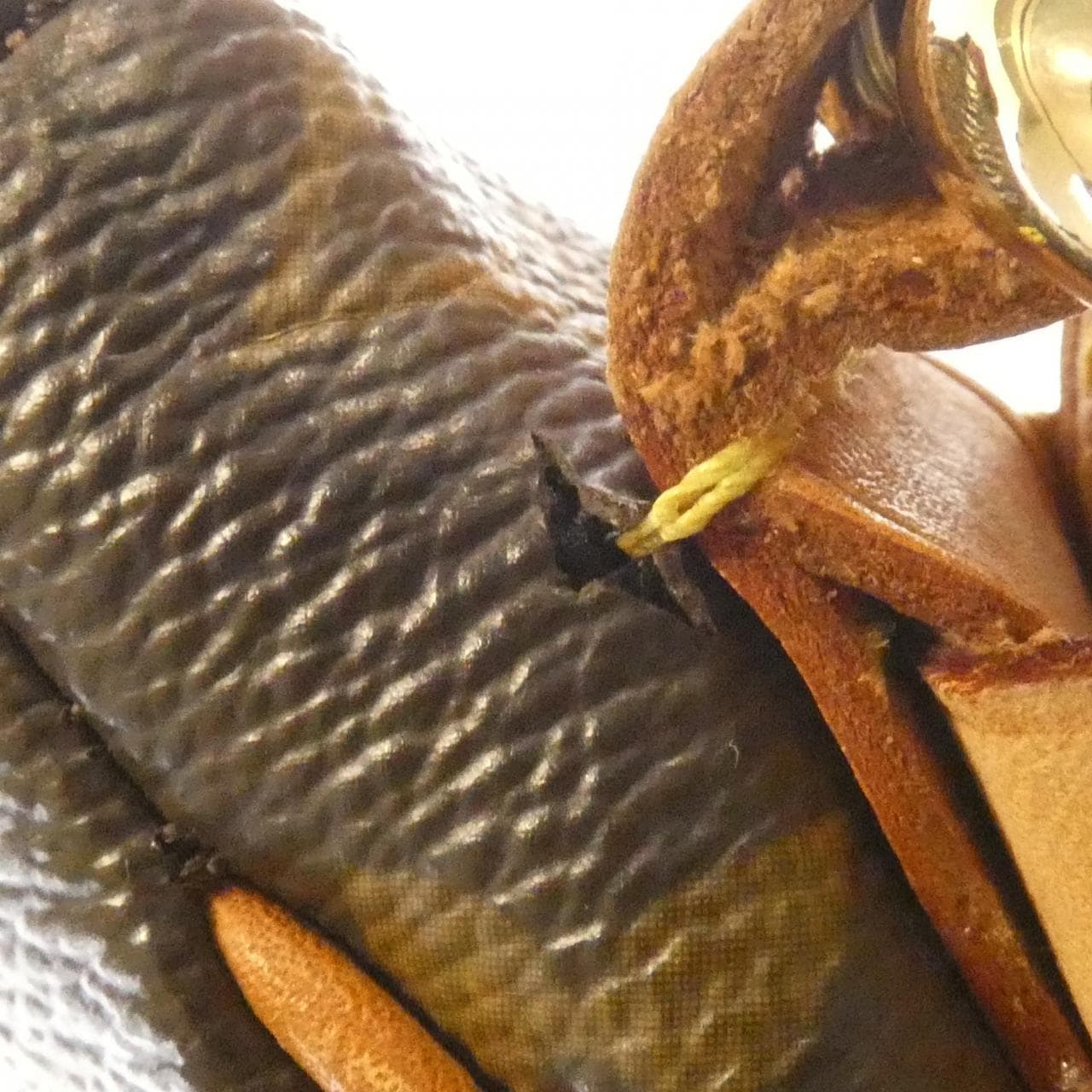 ルイヴィトン モノグラム トゥラム GM M40075 ショルダーバッグ