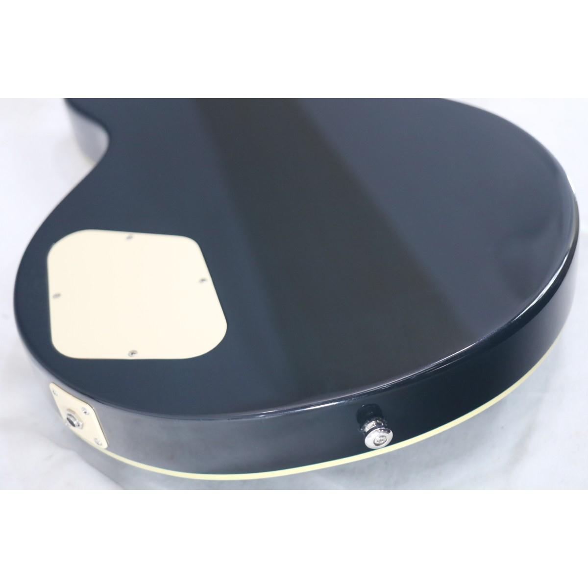 ＥＰＩＰＨＯＮＥ　ＬＥＳ　ＰＡＵＬ　ＳＴＡＮＤＡＲＤ