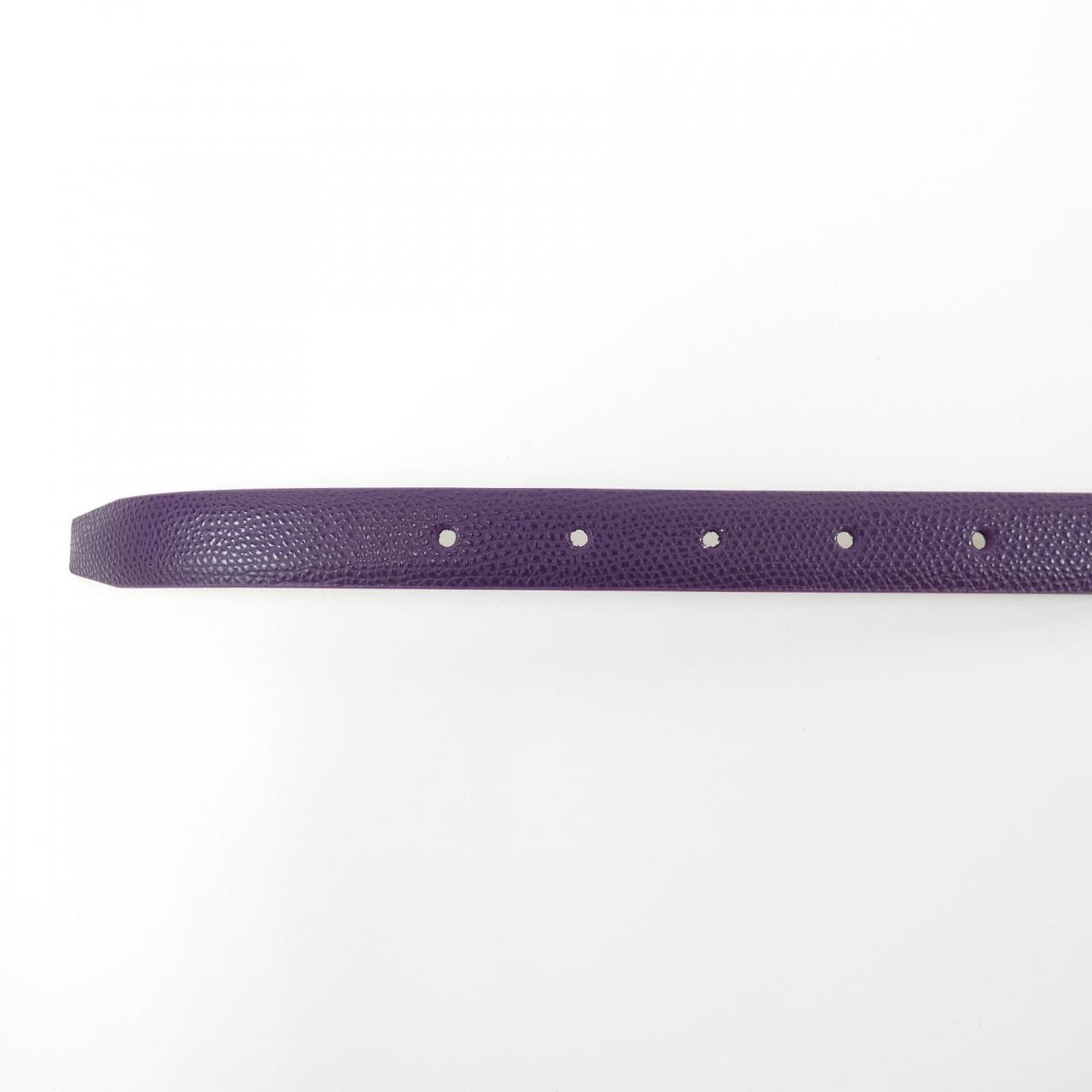 碧翠鳥PT TORINO BELT