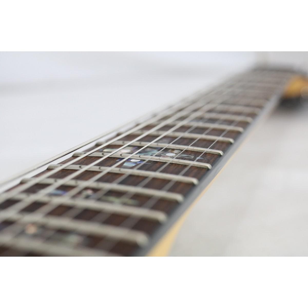 ＳＣＨＥＣＴＥＲ　　ＤＡＭＩＥＮ　ＥＬＩＴＥ　７