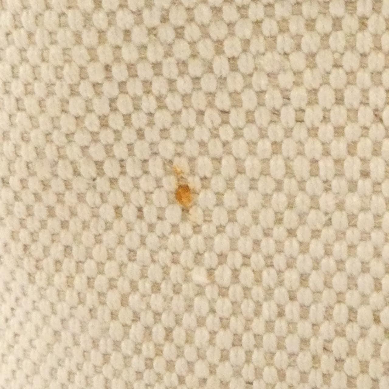 バレンシアガ ネイビー バックパック 409010 AQ38N リュックサック